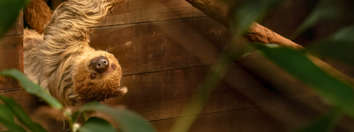 YuNKa: GeoPeNd vAnAF 3 aPrIl!