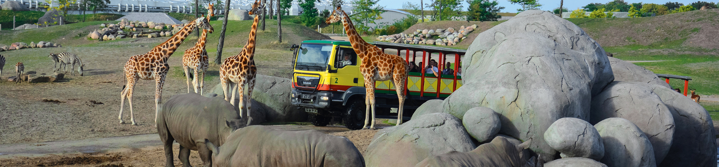 Savanne truck giraffen neushoorn